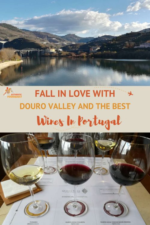 Pinterest_DouroValley_AuthenticFoodQuest Pinterest Douro Valley Wines Authentic Food Quest