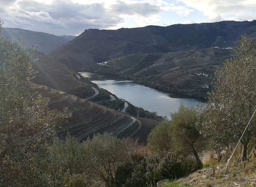 View Casa Ferreirinha in the Douro Valley by Authentic Food Quest
