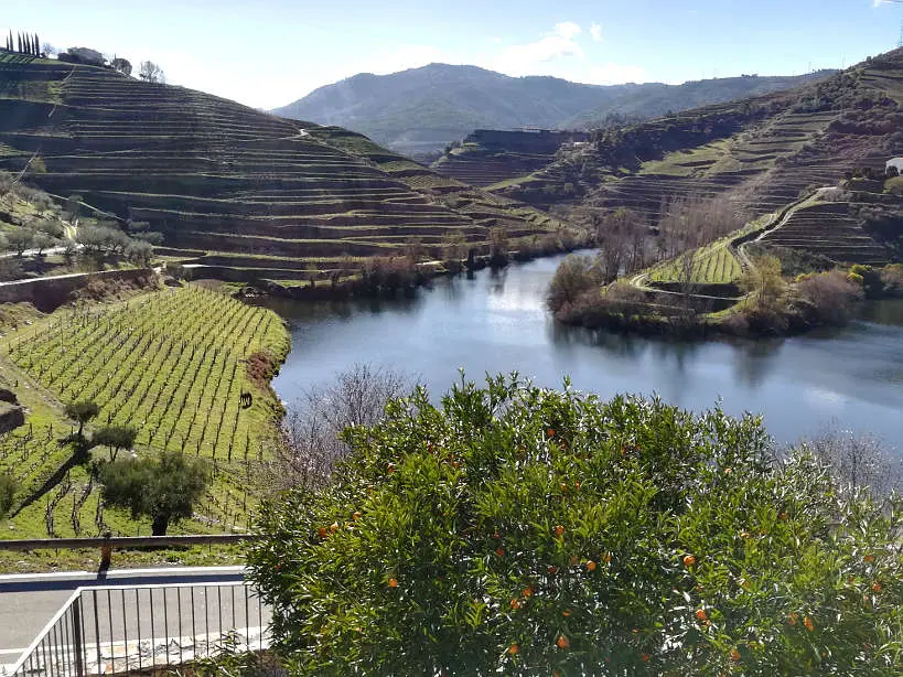 5 Of The Best Wineries In Douro Valley Portugal You Should Visit