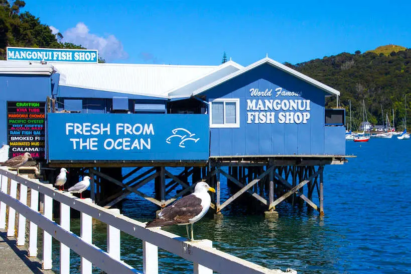 Mangonui New Zealand Fish Shop Authentic Food Quest