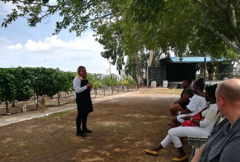 10 Of The Best Las Vegas Wineries, Wine Tour And Wine Tasting In The