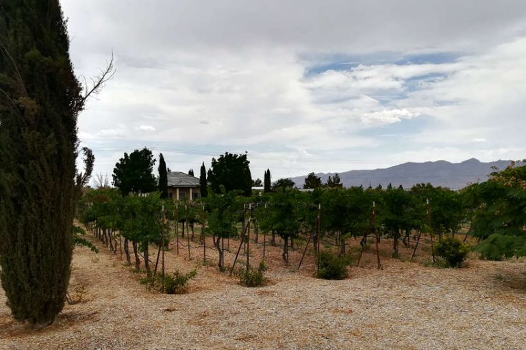 10 Of The Best Las Vegas Wineries, Wine Tour And Wine Tasting In The