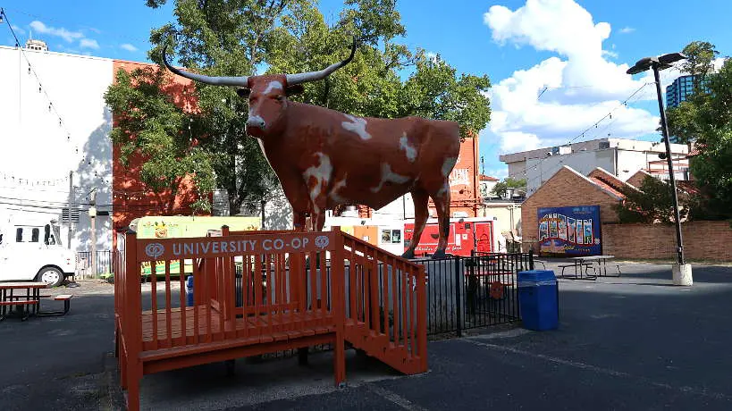 Bevo the Mascot at University Co-Op one of Austin Food Truck Parks Authentic Food Quest