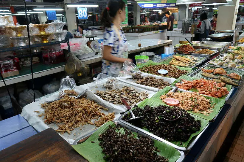 Cricket and Worms Stall at Siri Wattana Market on Chiang Mai Food Tour A Chefs Tour by Authentic Food Quest