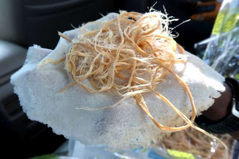 Roti Sai Mai for Popular List of Thai Desserts by Authentic Food Quest