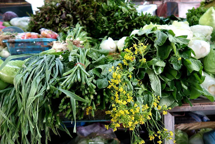 Thai Herbs Chiang Mai Market for Chiang Mai FoodTour with A Chefs Tour by Authentic Food Quest. Indigenous herbs seen on Chiang Mai Food Tour