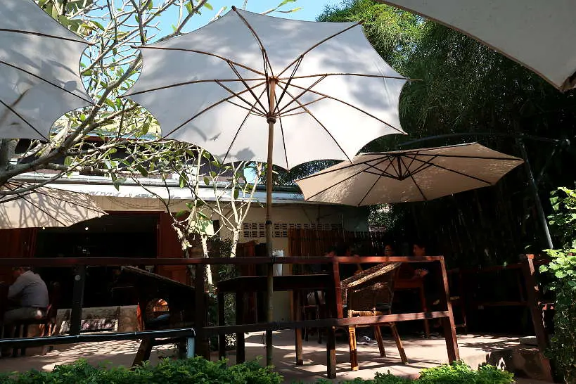 Garden at Big Tree Cafe and Gallery for Best Restaurant In Luang Prabang Laotian food by Authentic Food Quest