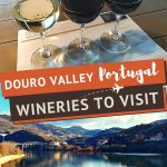 Douro Valley Winery Portugal by AuthenticFoodQuest