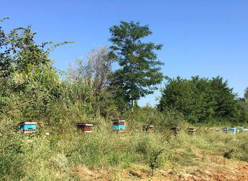 BeeHives MelnikRelaisChateauxBulgaria by AuthenticFoodQuest
