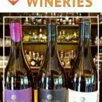 Best Melnik Wineries by Authentic Food Quest