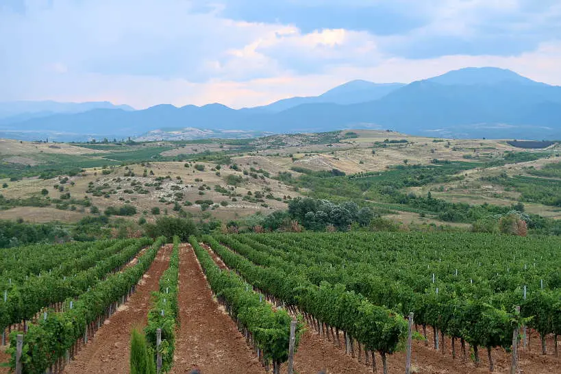 Tuscany of Bulgaria at Melnik by Authentic Food Quest