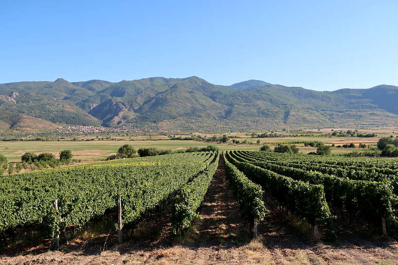 Villa Yustina Winery in the Thracian Valley Bulgaria by Authentic Food Quest