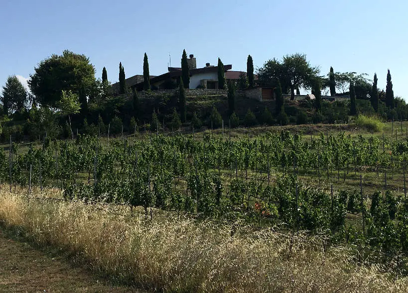VineyarsonProperty_ZornitzaFamilyEstate_MelnikBulgaria_AuthenticFoodQuest