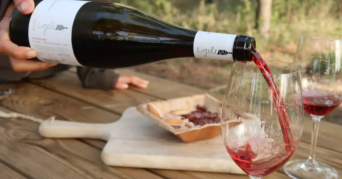 Winery Costa Brava by Authentic Food Quest
