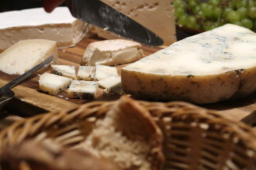 Taste Goat Cheese From Spain: The Story behind Mas Alba Girona Cheesemaking 1