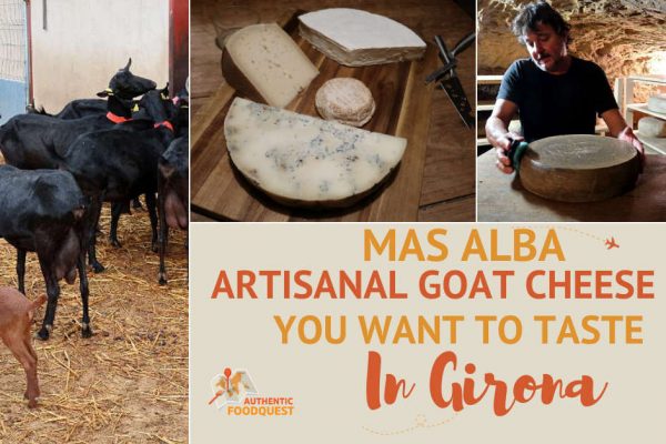 Mas Alba: Artisanal Goat Cheese You Want to Taste in Girona Spain