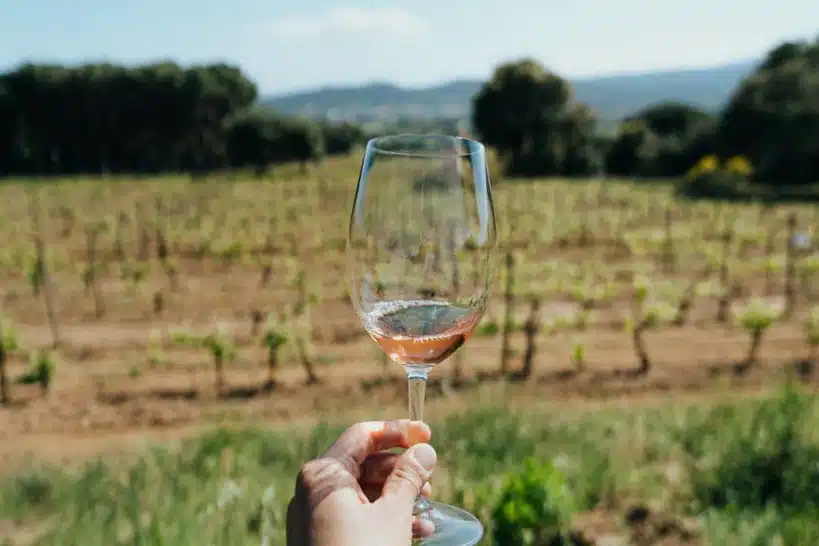 Clos D'Agon Wine Catalonia Wineries by Authentic Food Quest