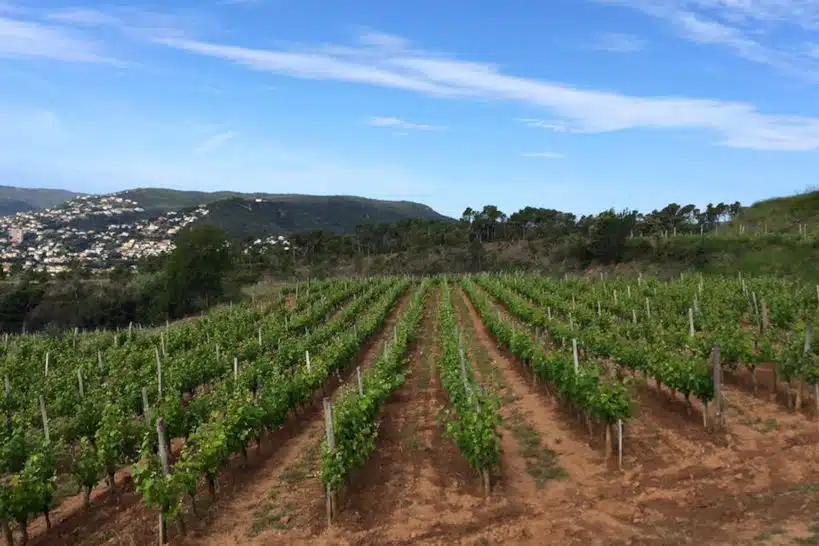 Clos D'Agon Costa Brava Winery by Authentic Food Quest