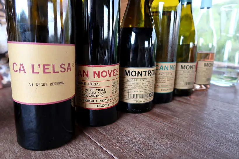 Eccocivi Wines Catalan Wines from Spain by Authentic Food Quest