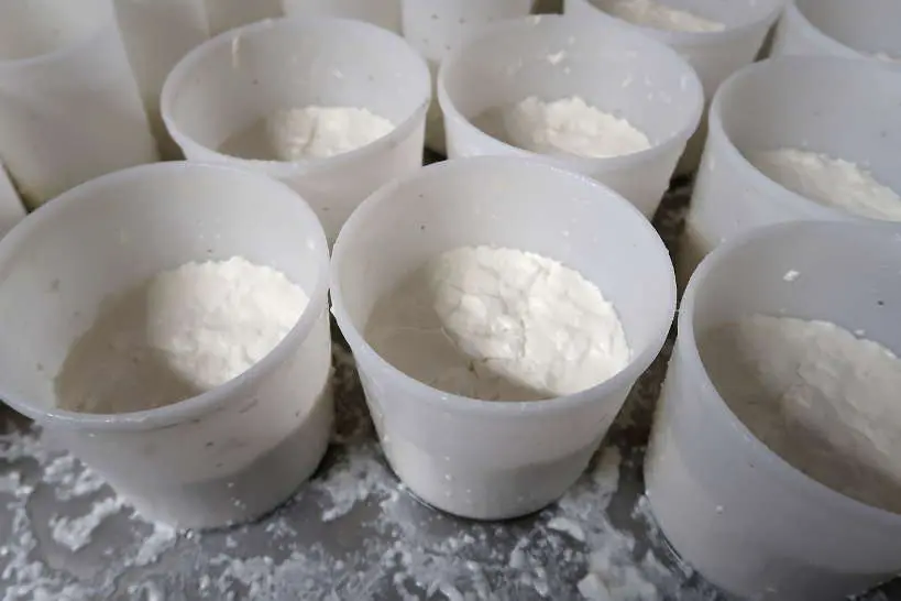 Goat Cheese Making Process at Mas Alba Girona Spain by AuthenticFoodQuest