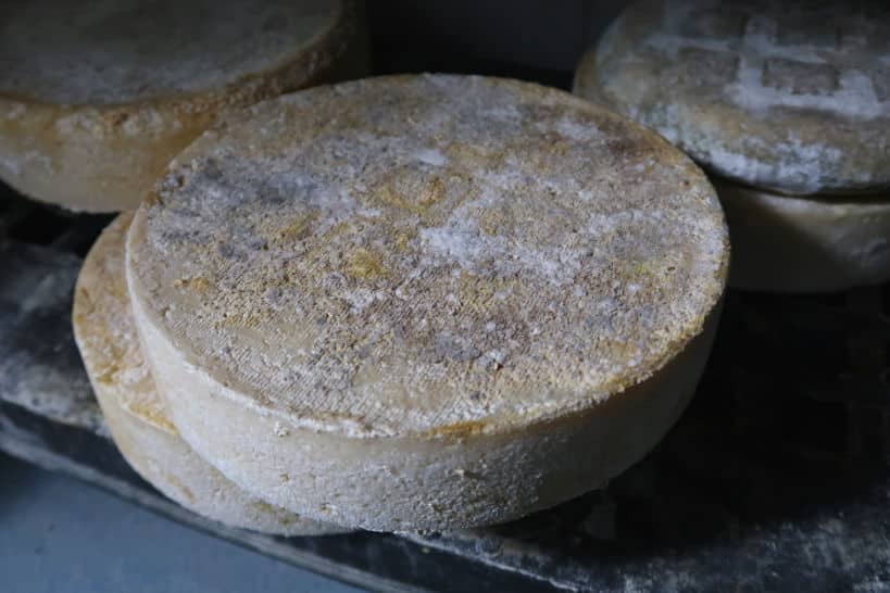 Goat Cheese Mas Alba by Authentic Food Quest