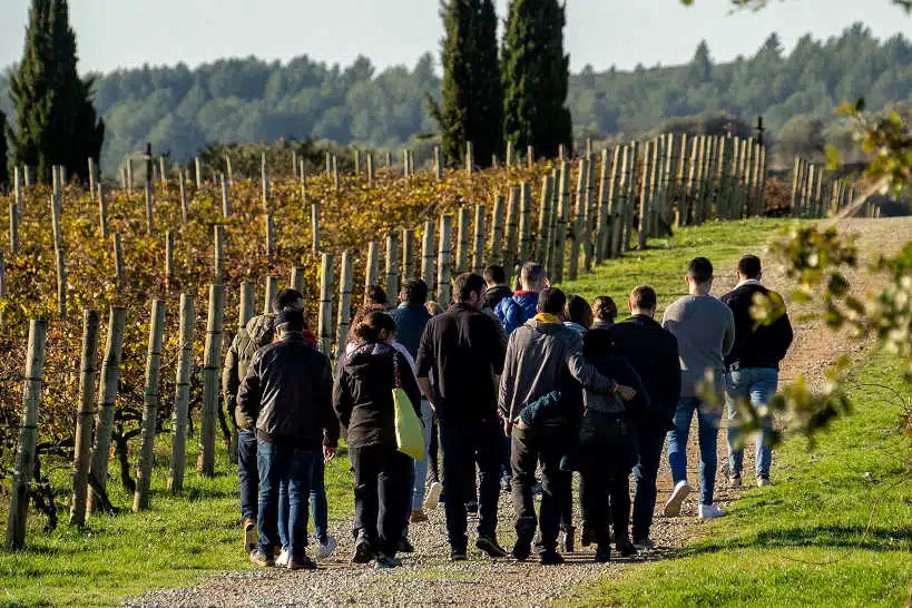 La Vinyeta Tour Winery Costa Brava by Authentic Food Quest