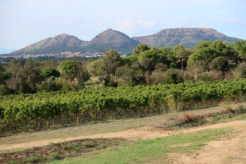 Mas Geli Winery_Emporda Wines Spain by AuthenticFoodQuest