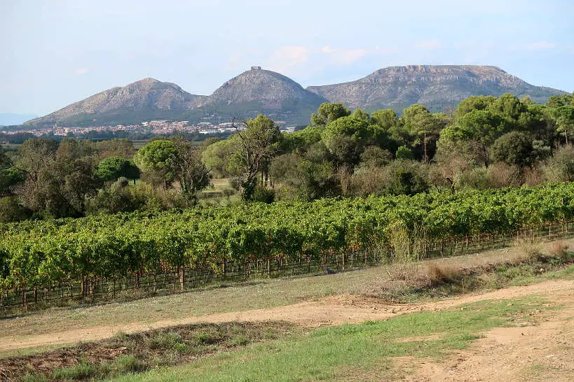 Mas Geli Winery Emporda Wines Spain by AuthenticFoodQuest