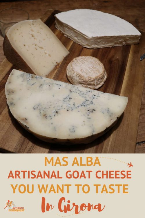 Pinterest Mas Alba Cheese Tasting in Girona Spain Authentic Food Quest