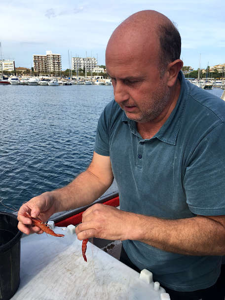 Captain Xavier Showing us how to eat Palamos Gambas by AuthenticFoodQuest
