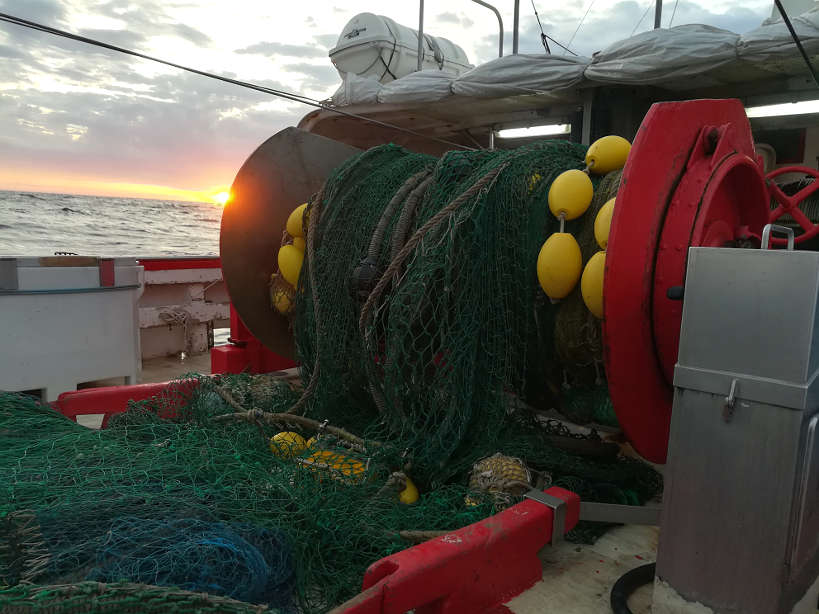 Fishing Boat for Palamos Gambas by AuthenticFoodQuest