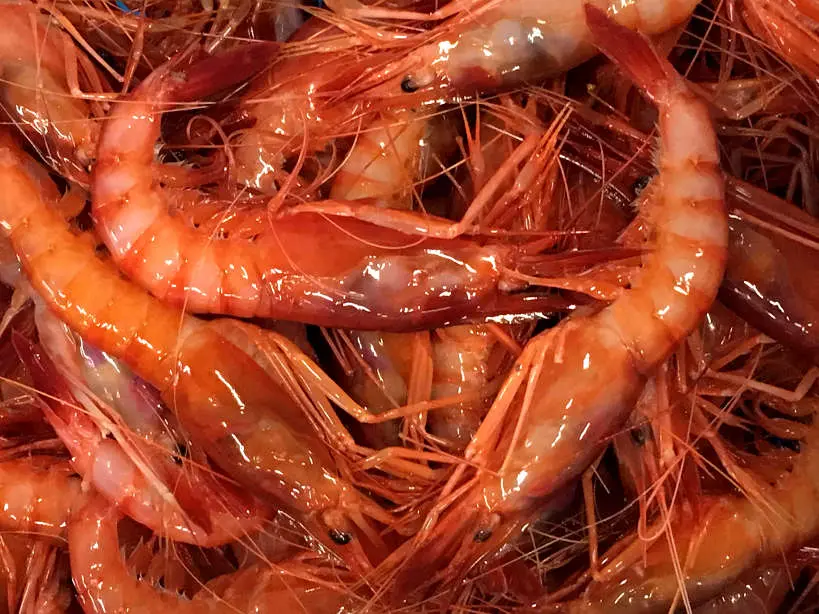 Gambas de Palamos in Spain by AuthenticFoodQuest