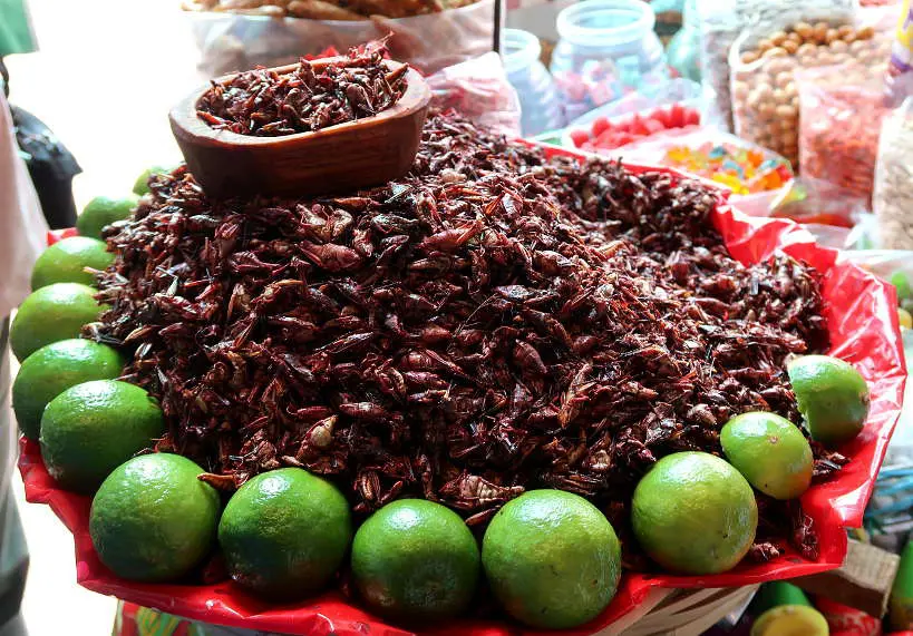 Grasshoppers on a Mexico City Food Tour at Mercado de Jamaica by FoodToursinMexicoCity AuthenticFoodQuest