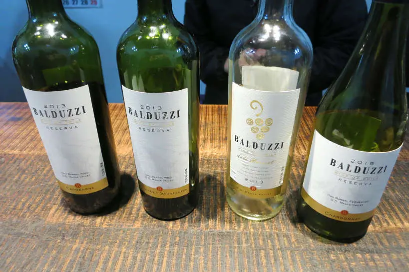 Chilean wine tasting at Baluduzzi by Authentic Food Quest