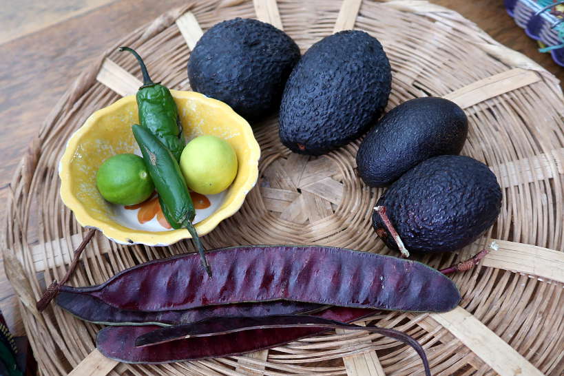 Mexican avocados for authentic mexican guacamole by Authentic Food Quest