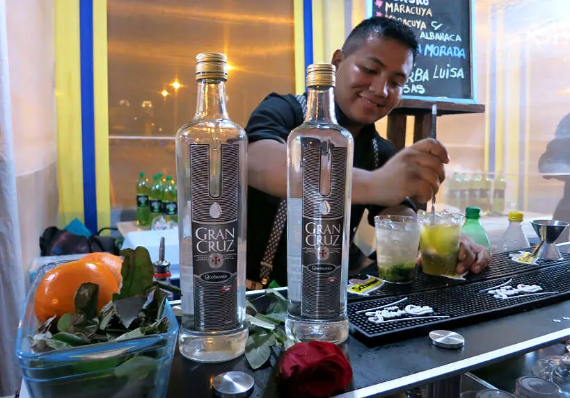 Best Pisco for Pisco Sour Recipe by Authentic Food Quest