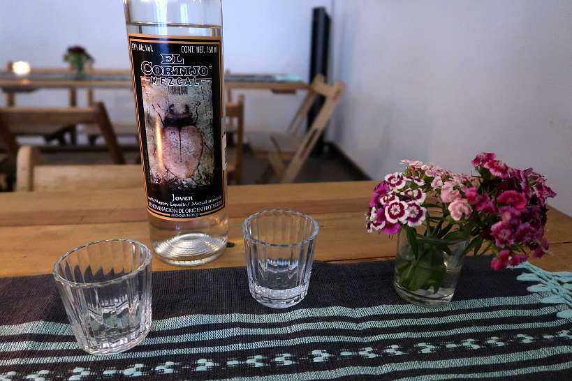 Mezcal Espadin El Cortijo Oaxaca by AuthenticFoodQuest