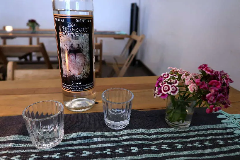Mezcal Espadin El Cortijo Oaxaca by AuthenticFoodQuest