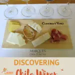Chile Wines of Maipo Valley By Authentic Food Quest