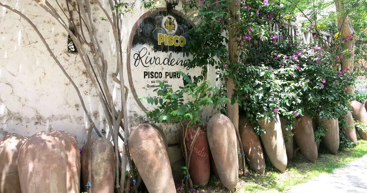 How to Visit A Pisco Winery: A Day Trip From Lima To Lunahuana