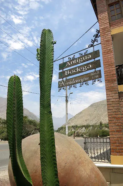 Bodega Rivadeneyra Pisco Winery Entrance by Authentic Food Quest