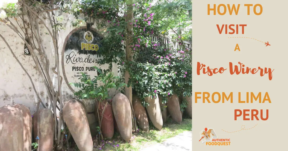 Peru Pisco Winery Tour by AuthenticFoodQuest