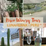 How to go on a Pisco Winery Tour in Lunahuana Peru, an easy day trip from Lima by AuthenticFoodQuest