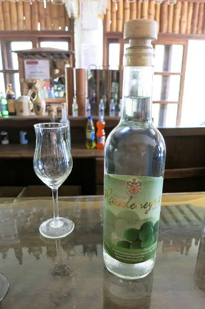 Pisco Italia att Bodega Rivadeneyra Pisco Winery   in Peru   by AuthenticFoodQuest