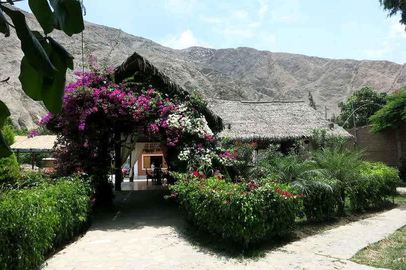 Where to stay in Lunahuana for Pisco Tour by Authentic Food Quest