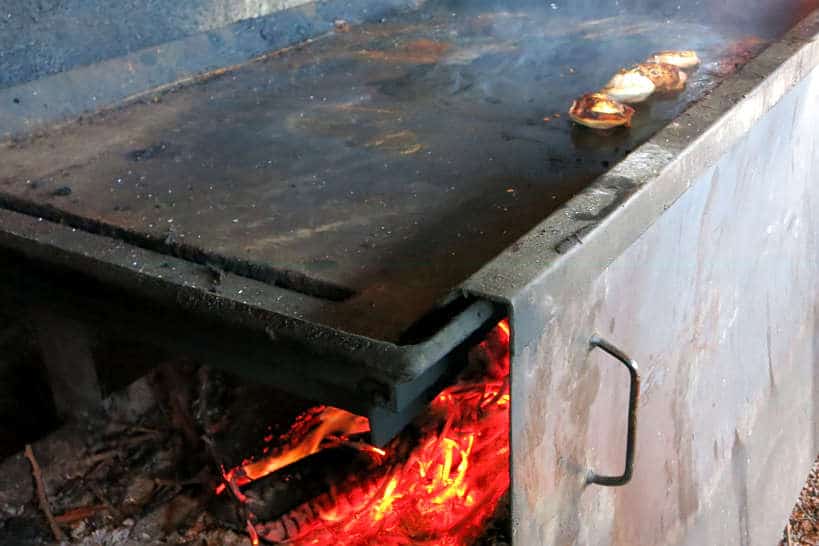 Cooking a la Plancha Francis Mallmann Seven Fires technique by AuthenticFoodQuest