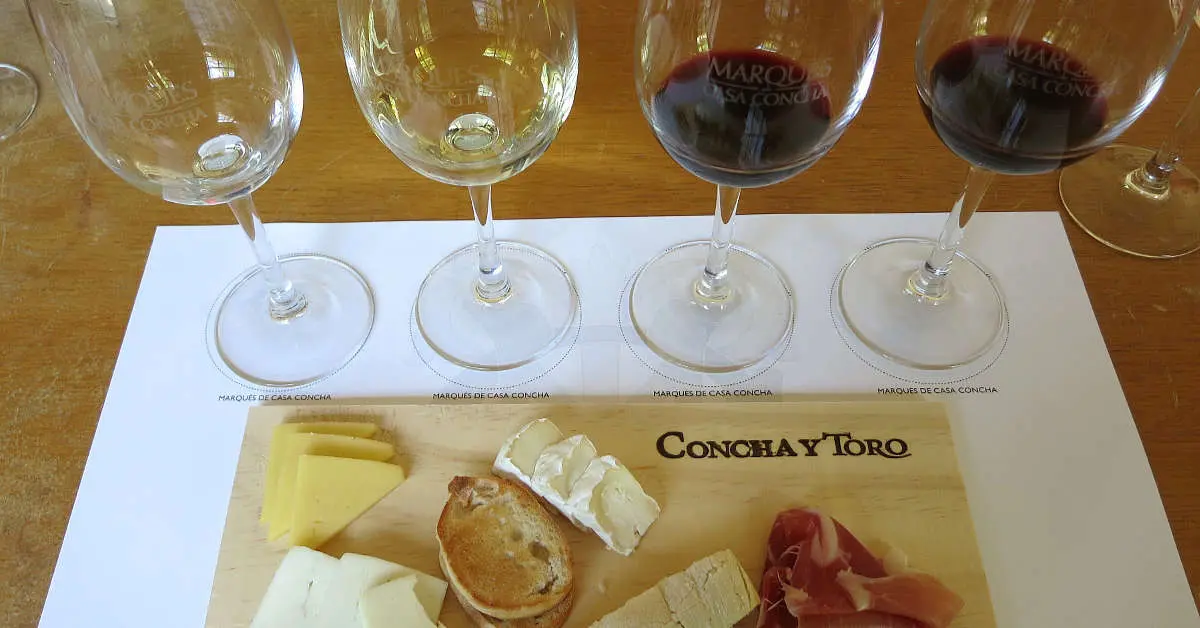 Maipo Valley Wineries and Santiago Wine Tours by Authentic Food Quest