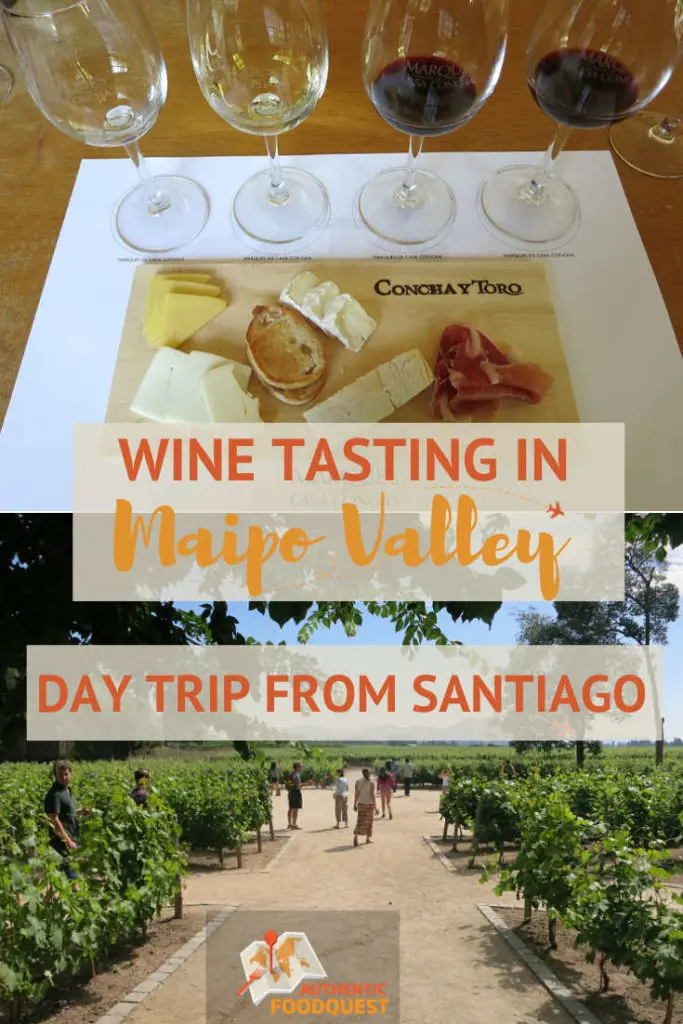 Pinterest Maipo Valley Wineries and Santiago Wine Tours by Authentic Food Quest