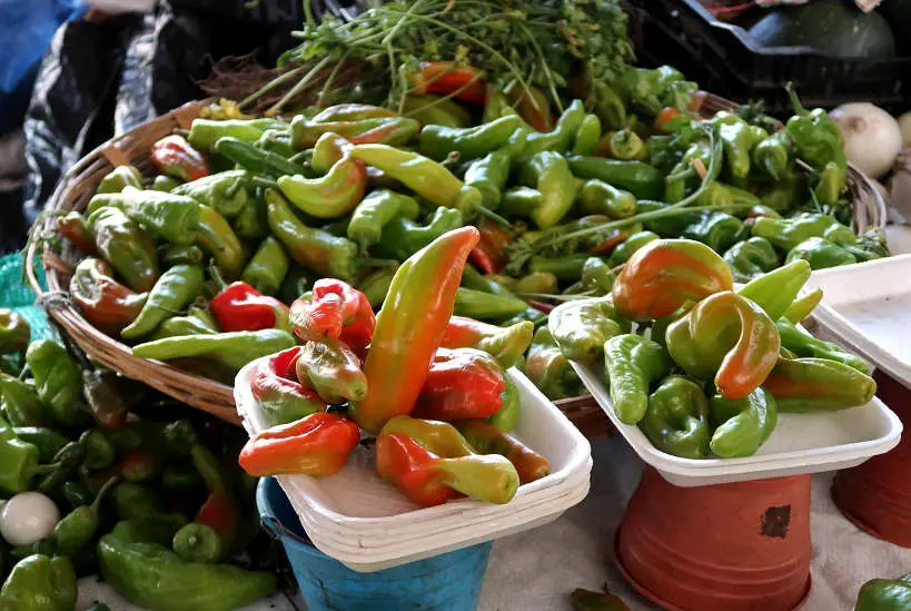Chile de Agua at Mercado de Abastos Oaxaca by Authentic Food Quest