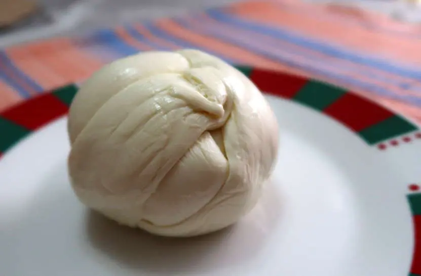 Quesillo cheese Oaxaca by Authentic Food Quest